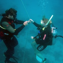 Introductory dives can be booked on a snorkle day trip from Cairns