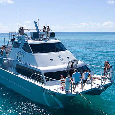 Introductory Great Barrier Reef scuba dives are available on board Ocean Freedom