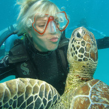 Scuba diving with turtles on the Great Barrier Reef