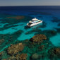 Tusa at the Reef