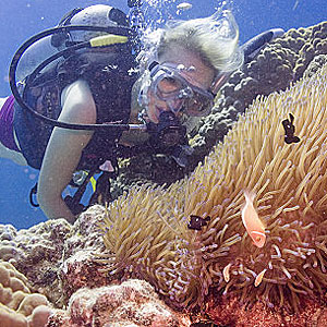 Reef Encounter liveaboard dive tours to the Great Barrier Reef