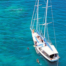Cairns daily sail and dive trips to Green Island and Pinnacle Reef