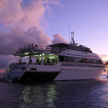 Liveaboard Pro Dive Cairns dive tours to the Great Barrier Reef