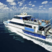 Cairns cruise to Great Barrier Reef with Reef Experience