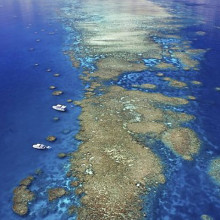 Great Barrier Reef - Reef Experience