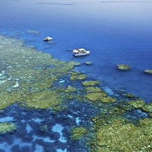 Explore Cairns Great Barrier Reef with Reef Experience