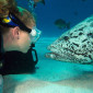 Spirit of Freedom at the Cod Hole on the Great Barrier Reef