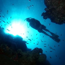 Cairns Scuba Diving on Reef Magic Cruises
