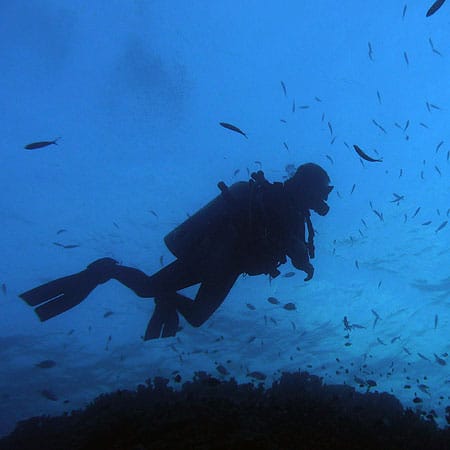SSI Diver Rescue Course with Cairns Dive Centre