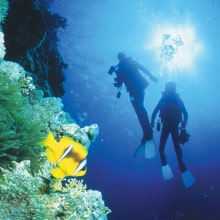Cairns Dive Centre SSI Advanced Diver Course