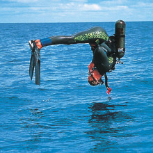 Diving on the Great Barrier Reef
