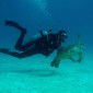 SSI Advanced Diver Course on the Great Barrier Reef