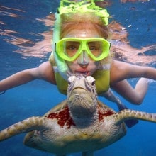Snorkle with Turtles