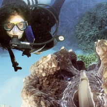 3day_Diver_Clam_800x450px