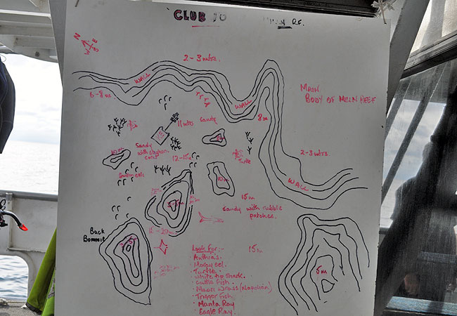 Milln Reef Club 10 Dive Site, Dive Map - Great Barrier Reef