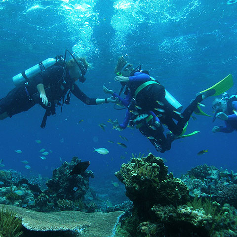 Michaelmas Cay scuba diving