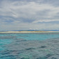 Michaelmas Cay dive trips and reviews