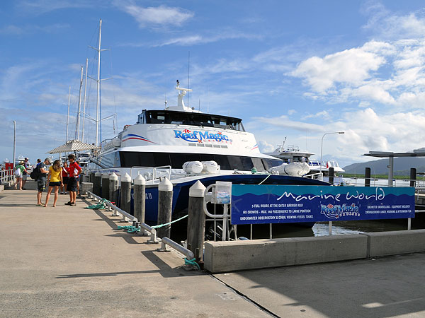 Cairns Reef Review: Reef Magic Cruises