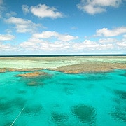 Cairns Reef