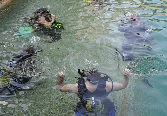 First Time Underwater Scuba Training Cairns