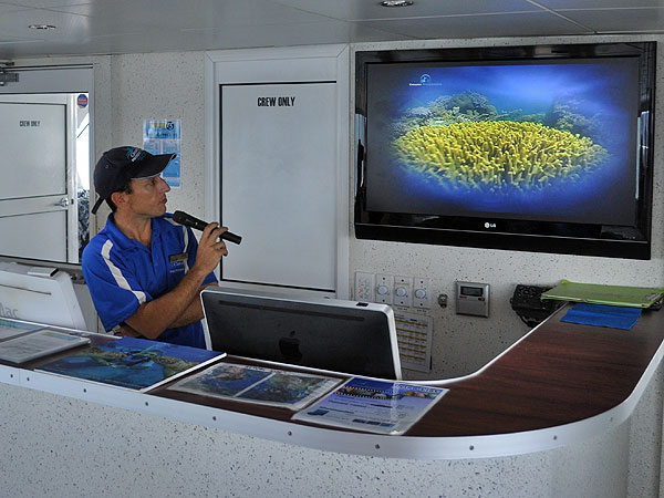 T5 Reef Teach Presentation - Cairns dive review