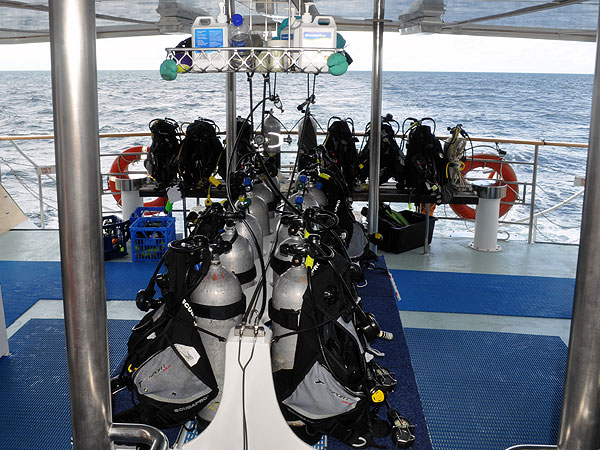 Spacious Dive Deck - Modern Equipment
