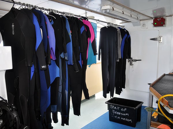 Wet suits and lycra suits provided