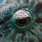 Are you looking at me?