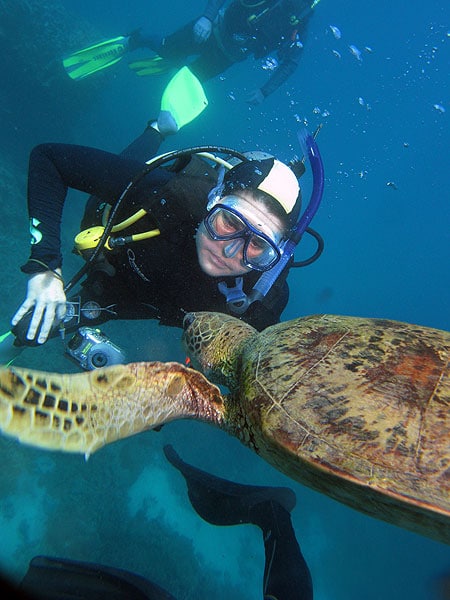 Diving with the turtles on the Great Barrier Reef