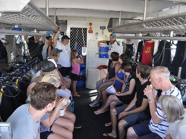 The snorkel briefing on the back deck
