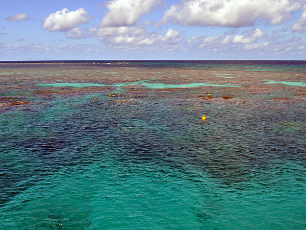 Flynn Reef - Great Barrier Reef - stunning!