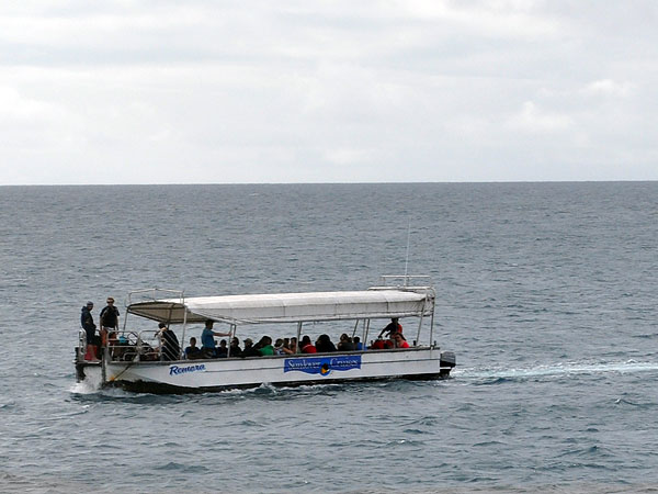 Sunlover Cruises Glass Bottom Boat Tours