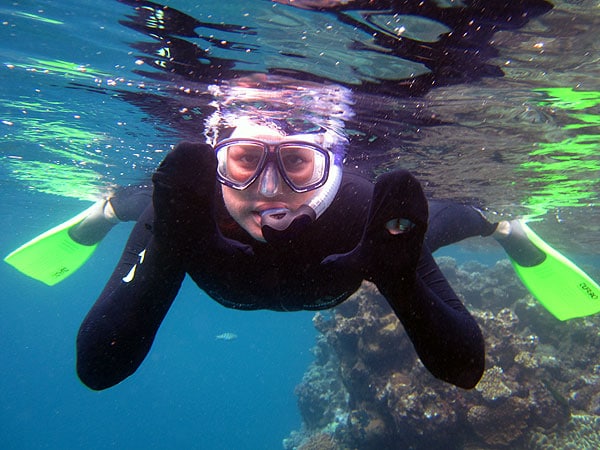 Snorkelling with Silverswift is excellent too!