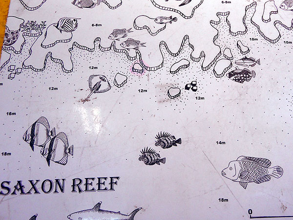 Down Under Dive Saxon Reef Dive Map
