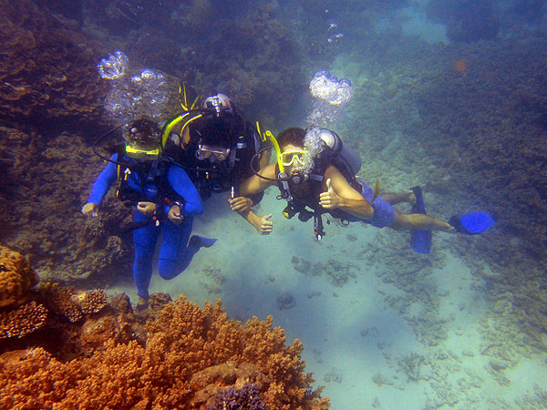 Introductory Divers about to meet Nemo