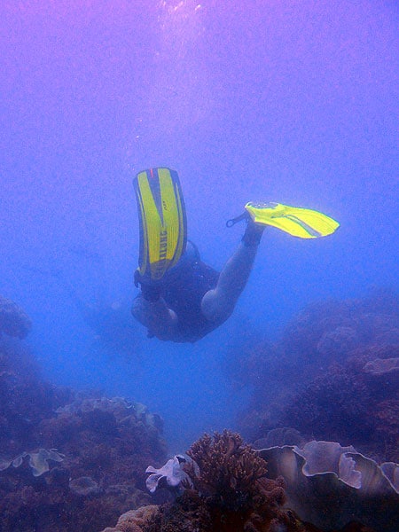 First dive - Upolu Reef - Wonder Wall