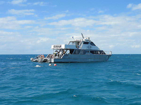 Ocean Freedom moored on Upolu Reef