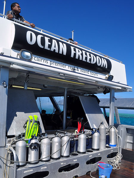 Ocean Freedom back deck - stunning day!