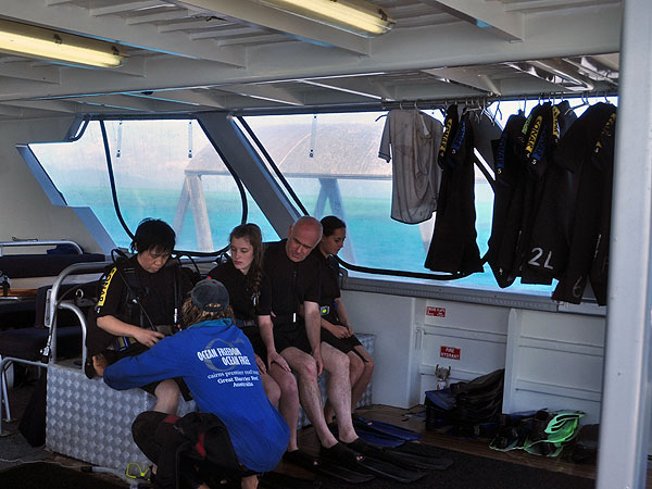 Introductory divers getting ready