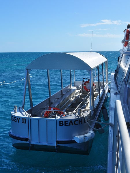 Ocean Freedom's Glass Bottom Boat