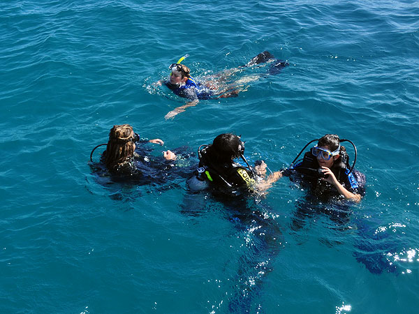 Introductory divers getting ready to descend