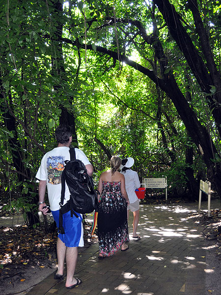 Green Island Rainforest Boardwalks