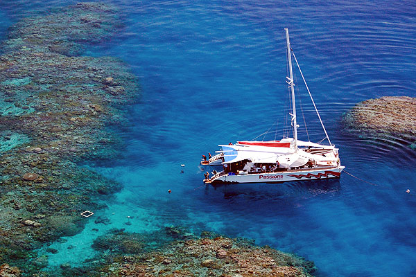 Passions of Paradise at Paradise Reef