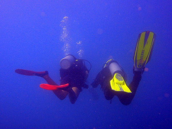 Diving the Great Barrier Reef in winter