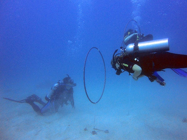 Pro Dive Cairns PADI Advanced Students