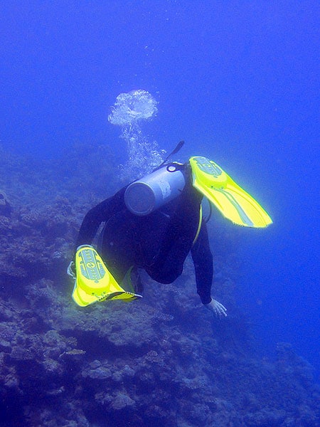 Diving on Flynn Reef, Tennis Courts