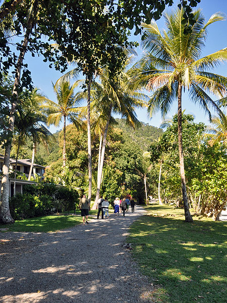 Fitzroy Island - palm fringed pathways