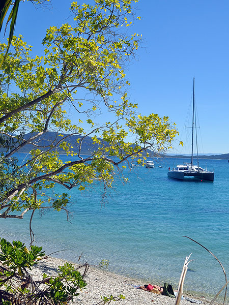 Yachts moored at Fitzroy Island