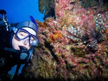 Tusa Dive Trip Review