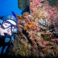 Tusa Dive Trip Review